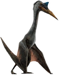 NAŽEHLOVAČKA -  Pteranodon