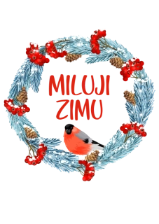 NAŽEHLOVAČKA - Miluji zimu