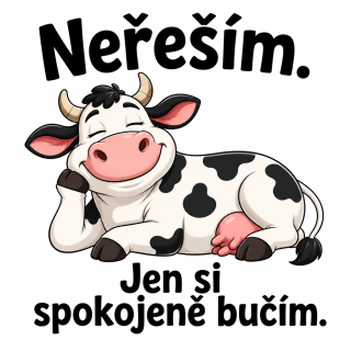 NAŽEHLOVAČKA - Neřeším.  Jen si spokojeně bučím